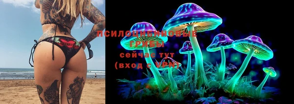 эйфоретик Армянск