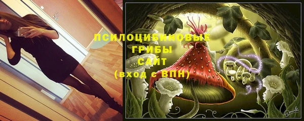 стафф Аркадак