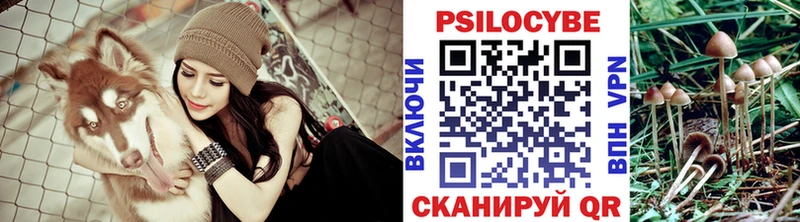 Галлюциногенные грибы Psilocybe  где продают наркотики  Усть-Катав 